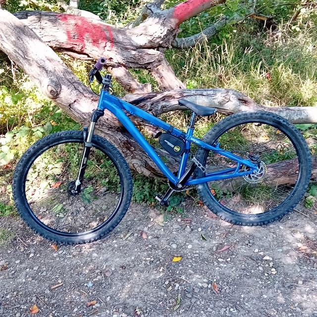 Custom specialised dirtjumper